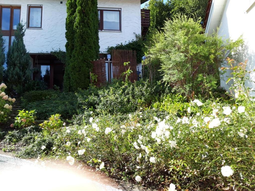 Ferienwohnung Rosa Muller Wangen im Allgäu Zewnętrze zdjęcie