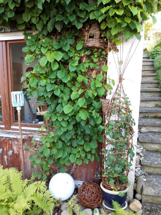 Ferienwohnung Rosa Muller Wangen im Allgäu Zewnętrze zdjęcie
